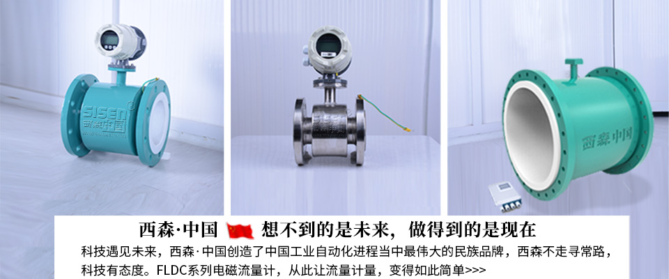 西森FLDC污水電磁流量計